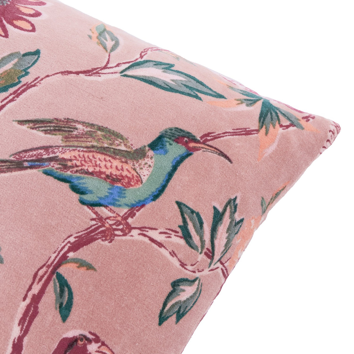 Aviary Velvet Cotton Cushion in Blushed Rose, close-up on blush pink cotton velvet with a printed bird and floral branch design in green, teal and deep red tones, shown on a white background.