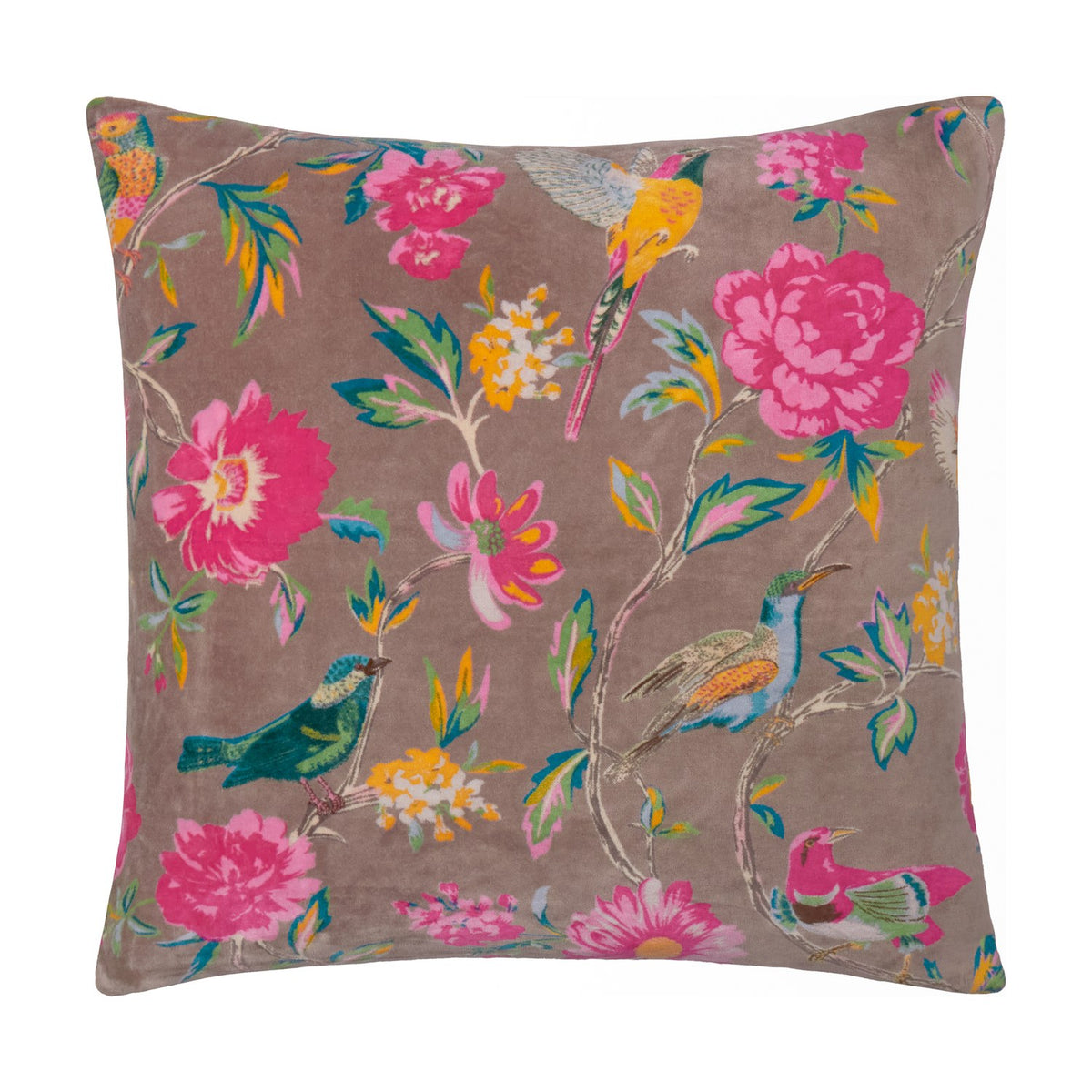 Aviary Velvet Cotton Cushion in mink, square 50 x 50cm with a birds and floral print in pink, teal, and yellow, shown on a plain white background.