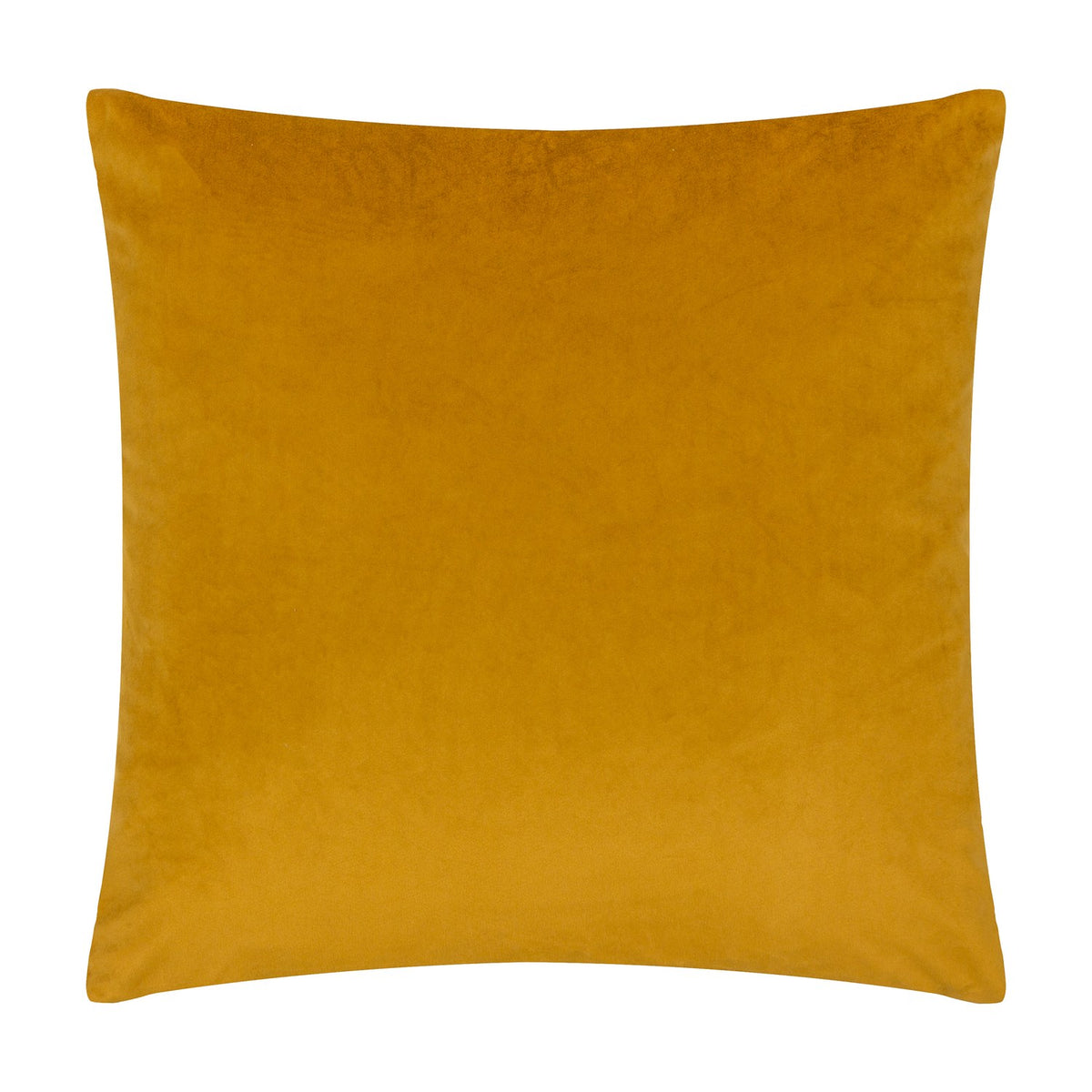 Bardot square velvet cushion in solid gold, plain reverse side shown against a white background, 50 x 50cm.
