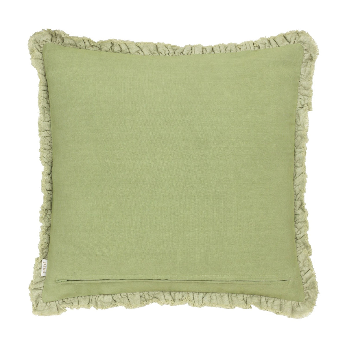 Bertie Velvet Cotton Cushion in light sage, square shape with plain cotton reverse and fringed edge trim, shown on a white background.