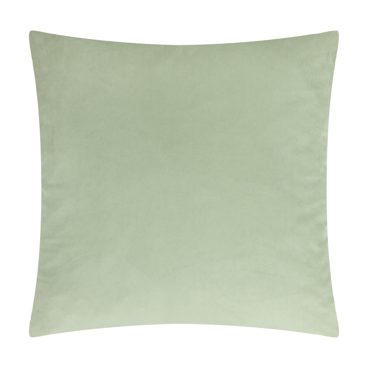 Braywick Animal Velvet Cushion in sage green, plain velvet reverse side shown, square shape with piped edge, on a white background.