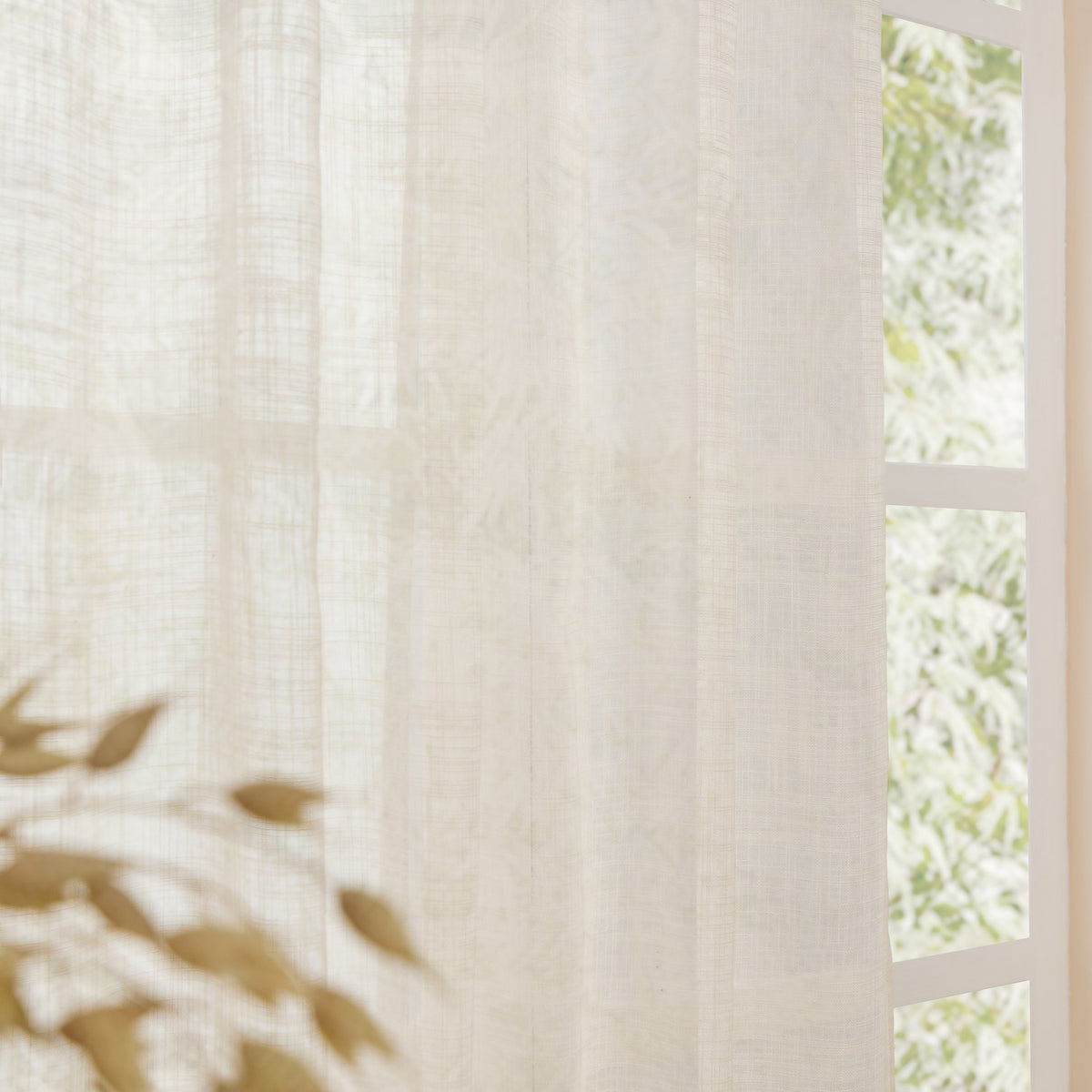 Cirrus Plain Polyester Curtain Panel in pearl cream, sheer woven fabric with visible texture, hung by a window with greenery seen through the glass.