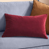 Contra Velvet Linen Cushion in oxblood, a rectangular scatter cushion with deep red velvet front, shown on a light blue sofa beside a tan velvet cushion.