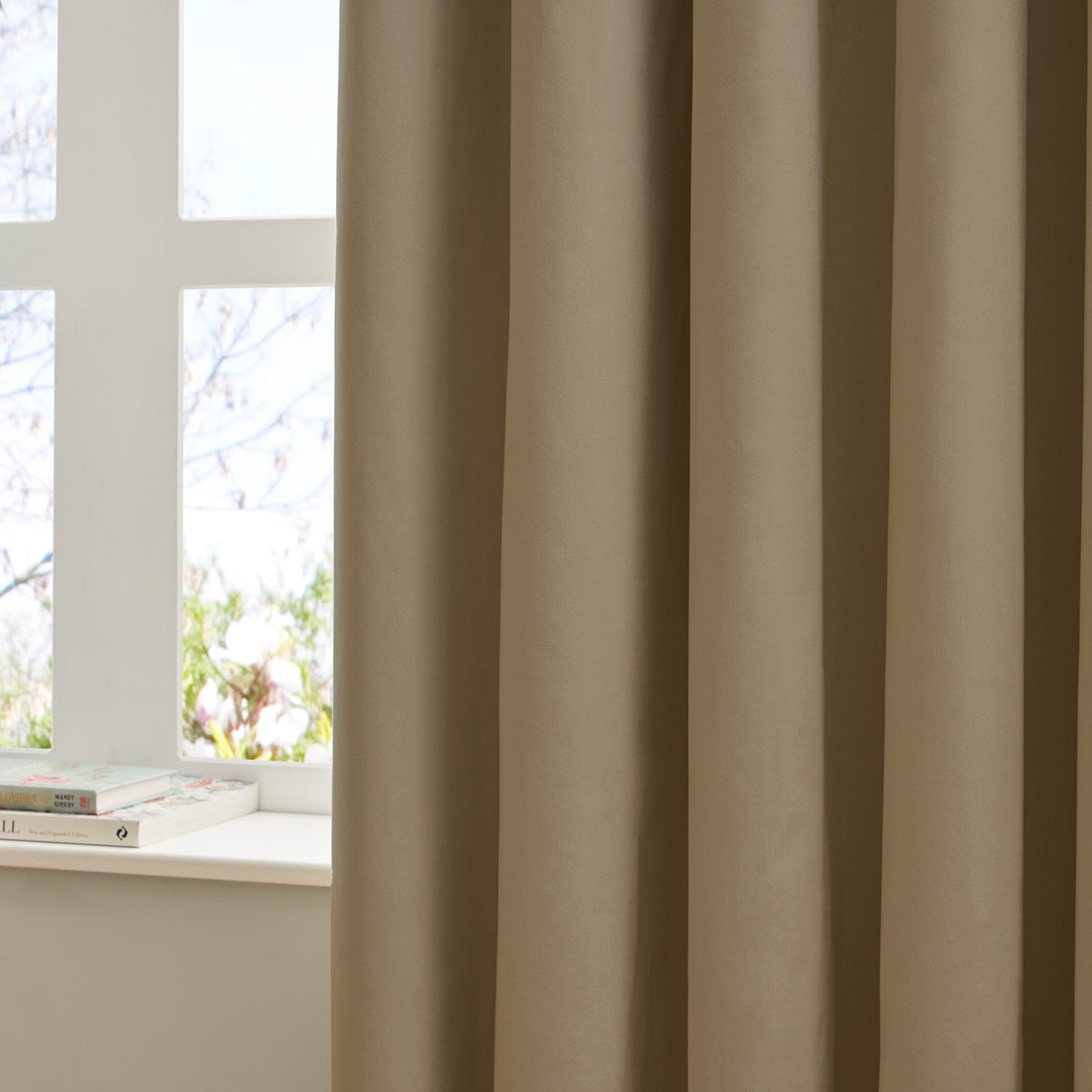 Mocha brown eyelet curtain in matt velvet fabric, shown falling in soft folds beside a white-framed window in a living room setting.