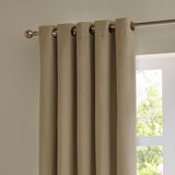 Mocha velvet eyelet curtains with metal grommets on a brushed rod, shown hanging beside a window in a plain-walled room.