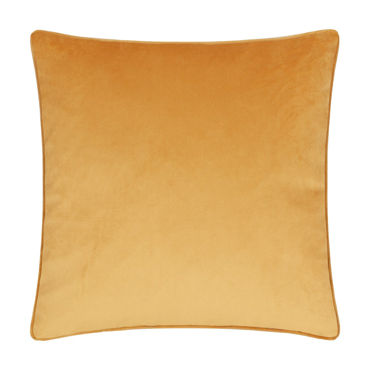 Daisy Hill Agnes velvet cotton cushion in plain amber-tan, square scatter cushion with piped edging, shown reverse side on a white background.