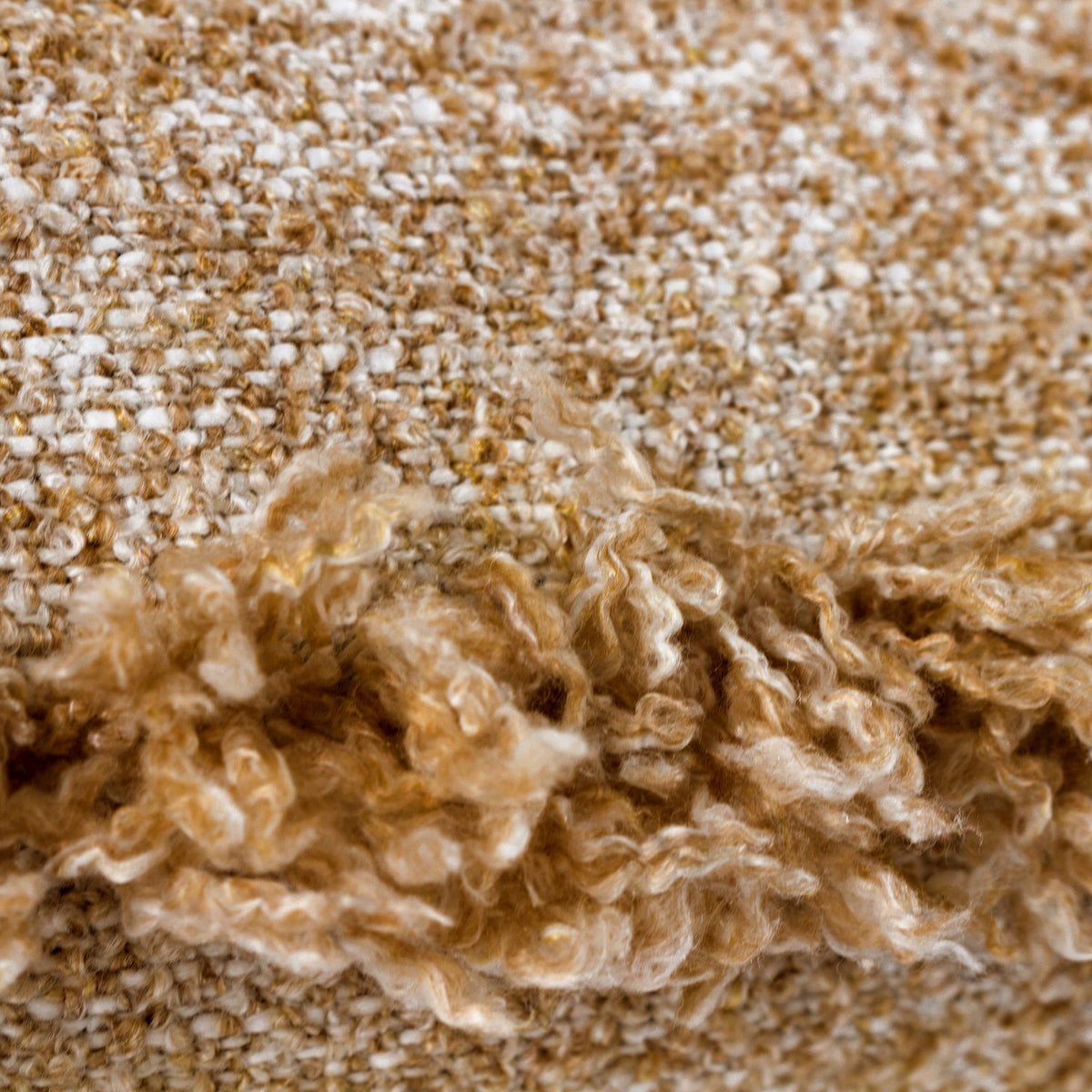 Close-up of the Doze Reversible Cotton Cushion in Biscuit, showing woven flat-weave fabric beside a looped bouclé-style trim in mixed biscuit and toffee tones.