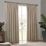 Natural beige heavy chenille velvet pencil pleat curtains hanging either side of a glazed door, shown in a living room with wooden flooring and a potted plant.