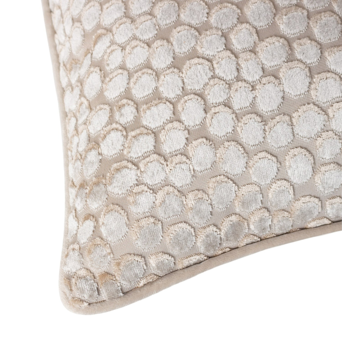 Close-up of the Lanzo Abstract Velvet Cushion in Moonbeam, showing cut-velvet circular dots in cream and silver tones with a plain velvet border, on a white background.