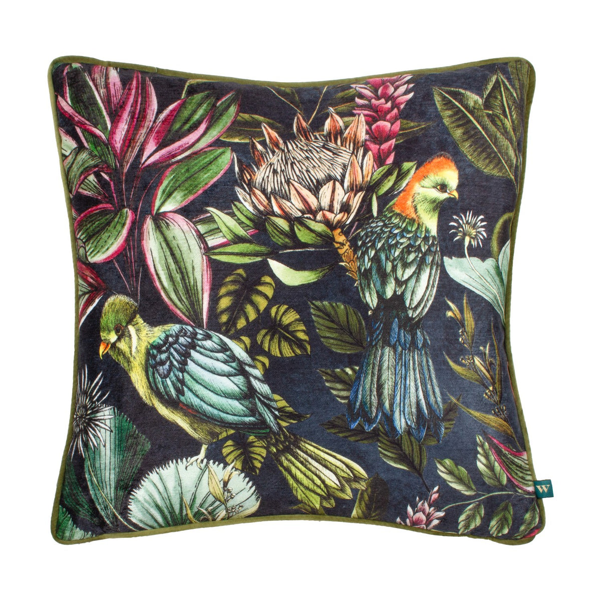 Leilani Velvet Chenille Cushion in Twilight, 43 x 43cm with olive piping, printed with two birds among tropical flowers and leaves on a dark navy ground.