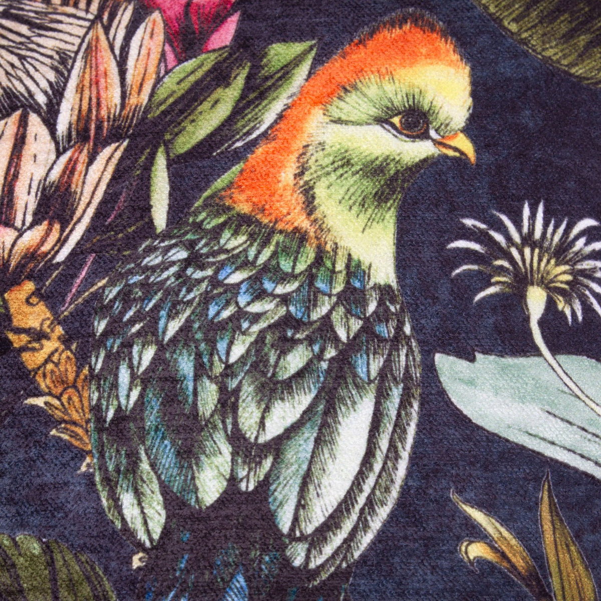 Leilani Velvet Chenille Cushion in Twilight, close-up of chenille fabric showing a bird with orange crest and green plumage among tropical flowers and leaves on a deep midnight ground.