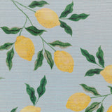 Lemons Striped Polyester Rug in blue, close-up of the ribbed weave showing yellow lemons on green leafy branches against a pale blue ground.