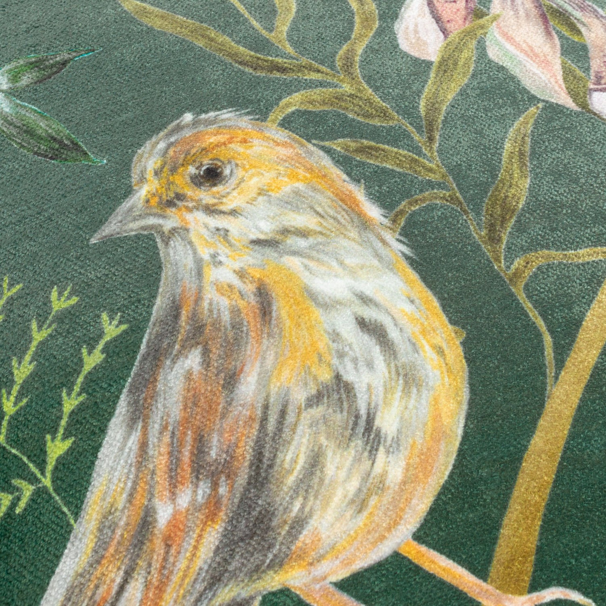 Meadow Bloom Animal Chenille Cushion in teal, close-up of a hand-painted bird among trailing foliage and leaves on a deep green chenille fabric ground.
