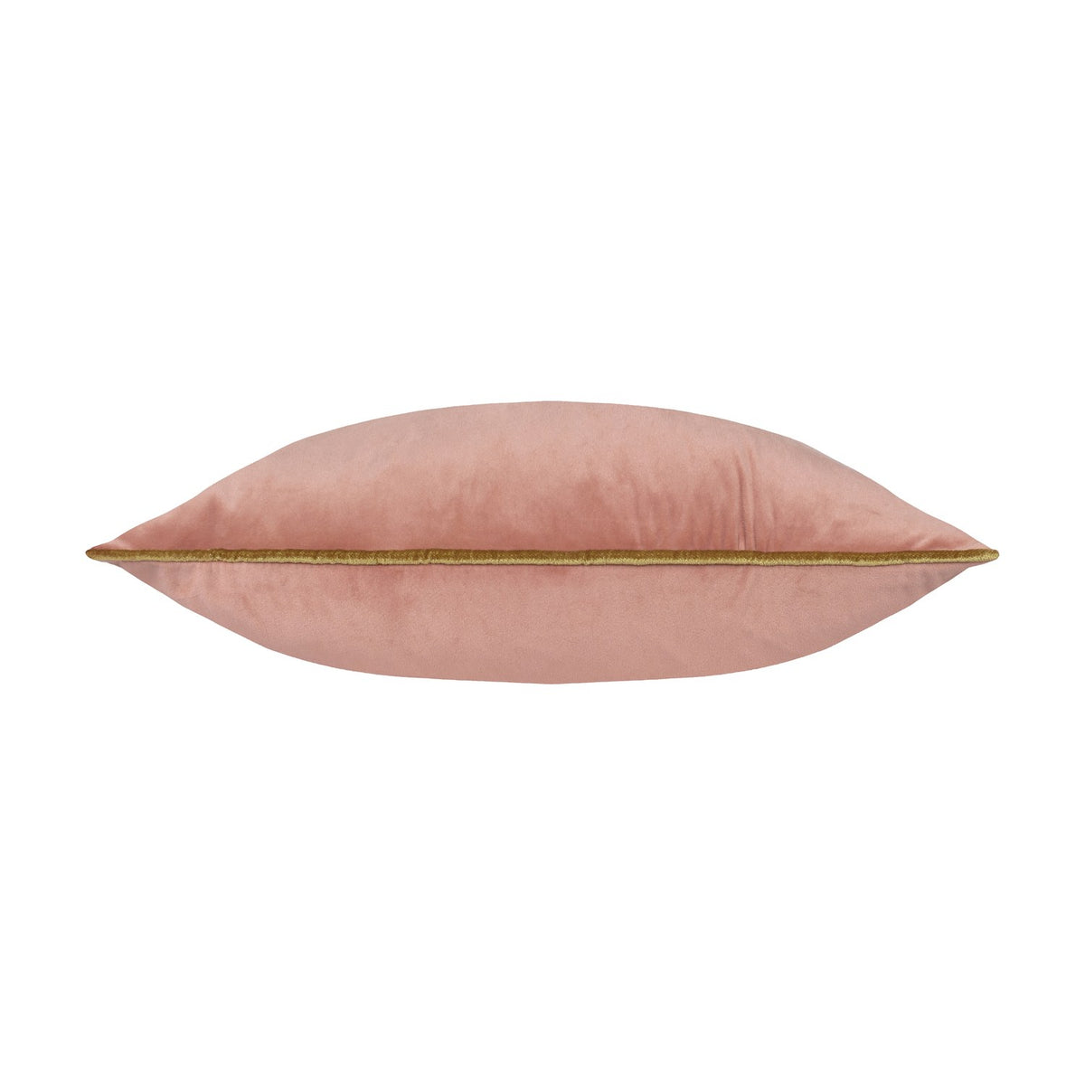 Meridian Plain Velvet Cushion in blush pink, shown side-on with gold piped edging along the seam, set against a plain white background.