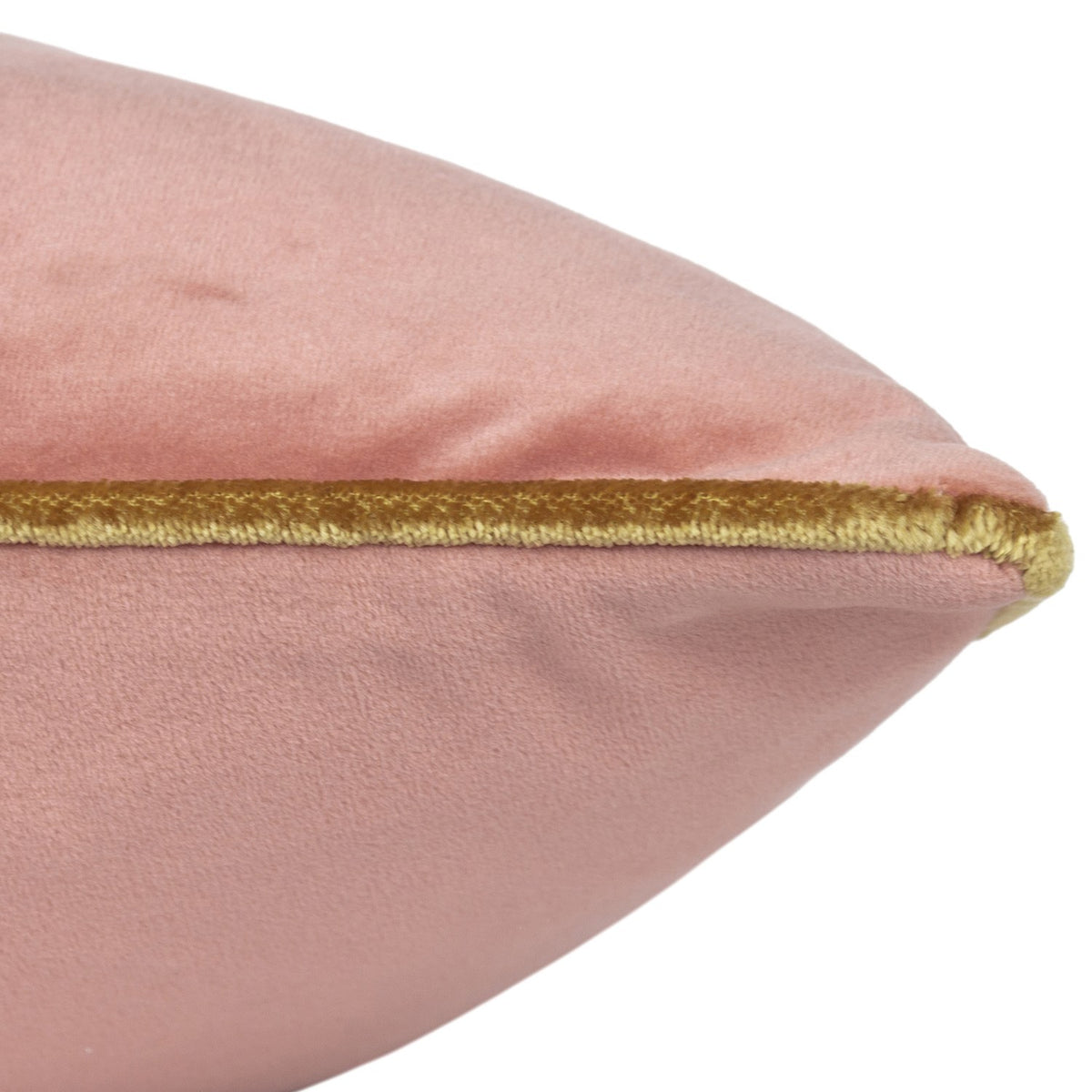 Close-up of the Meridian velvet cushion in blush pink, showing the plain velvet-feel fabric with a contrasting gold piped edge, on a white background.