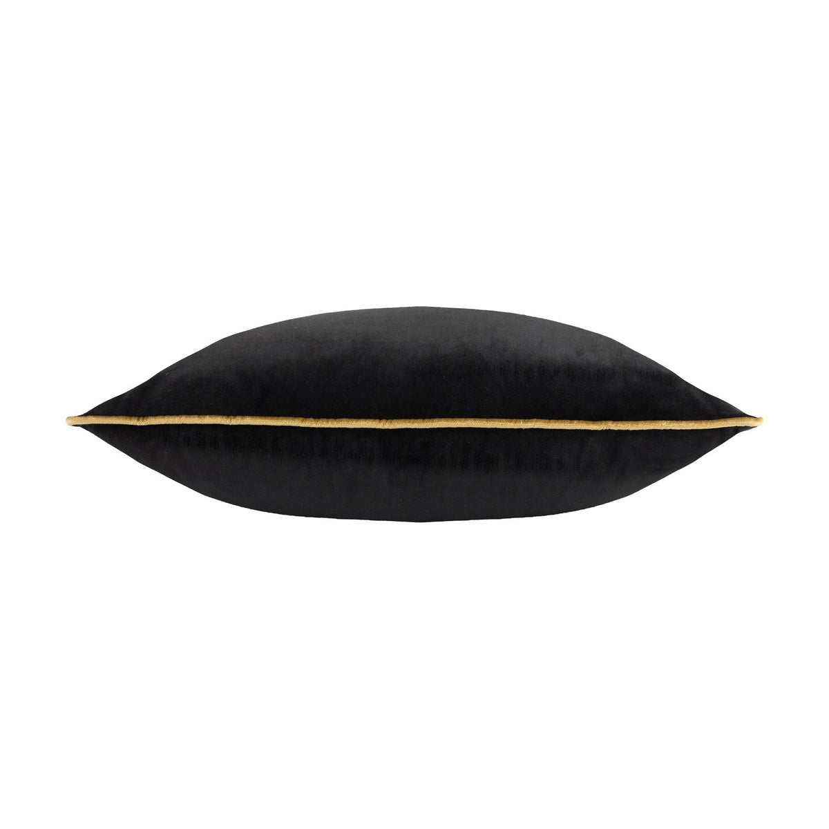 Meridian Plain Velvet Cushion in black, shown side-on to reveal its plump shape and gold piped border trim, set against a plain white background.