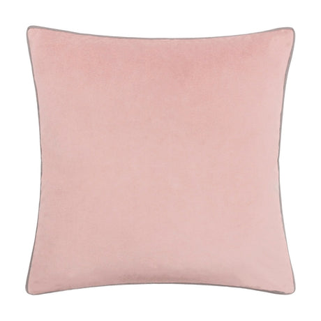 Meridian Plain Velvet Cushion in blush pink with a contrasting light grey piped edge, square shape, plain white background.