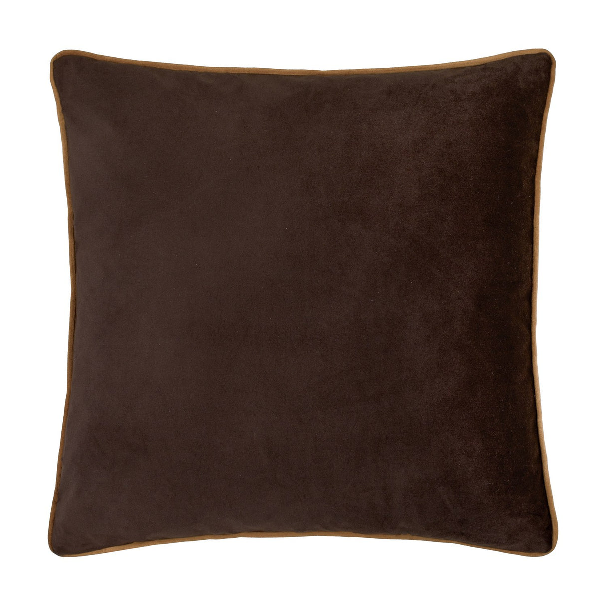 Meridian Plain Velvet Cushion in chocolate brown polyester velvet with contrasting caramel piped trim around the edge, shown on a plain white background.