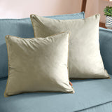 Two Meridian square velvet cushions in sage green with contrasting golden piped trim, styled on a blue sofa.