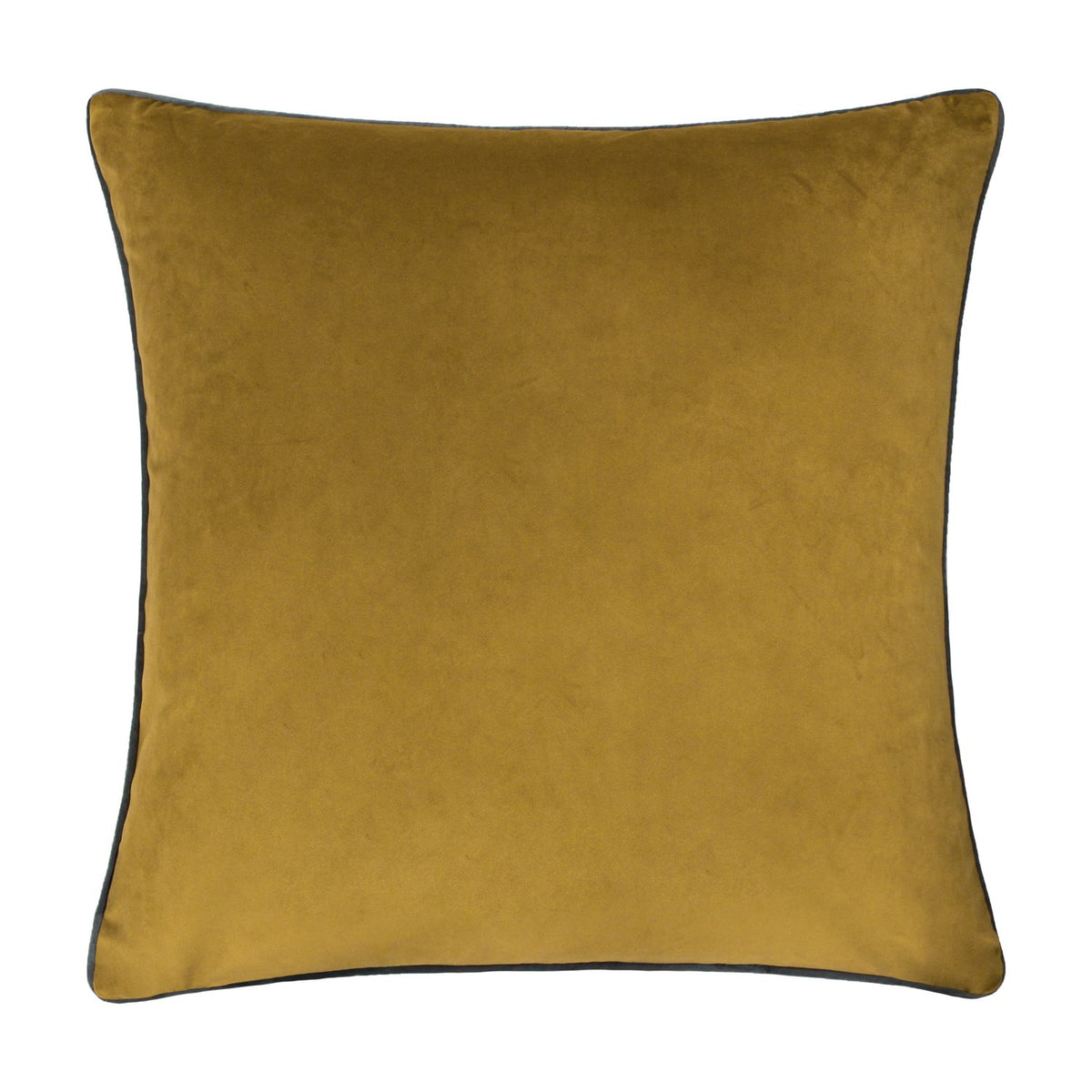 Meridian Plain Velvet Cushion in mustard-gold velvet with contrasting grey piped edges, shown against a plain white background.