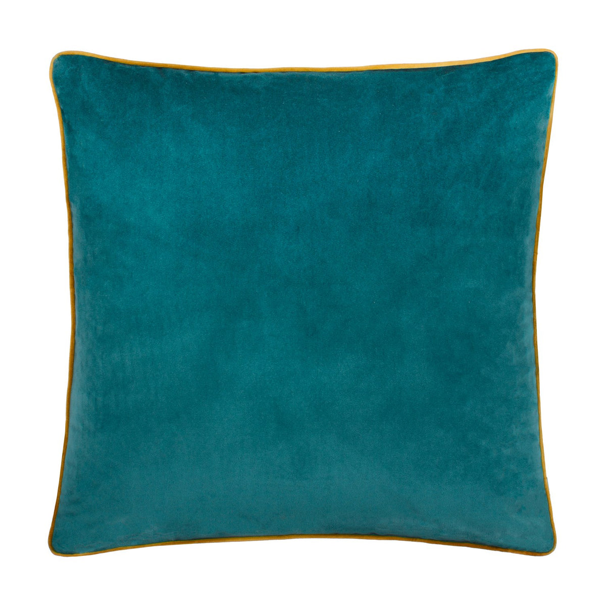 Meridian plain velvet cushion in deep teal with a contrasting ochre-gold piped trim around the square edge, shown on a plain white background.