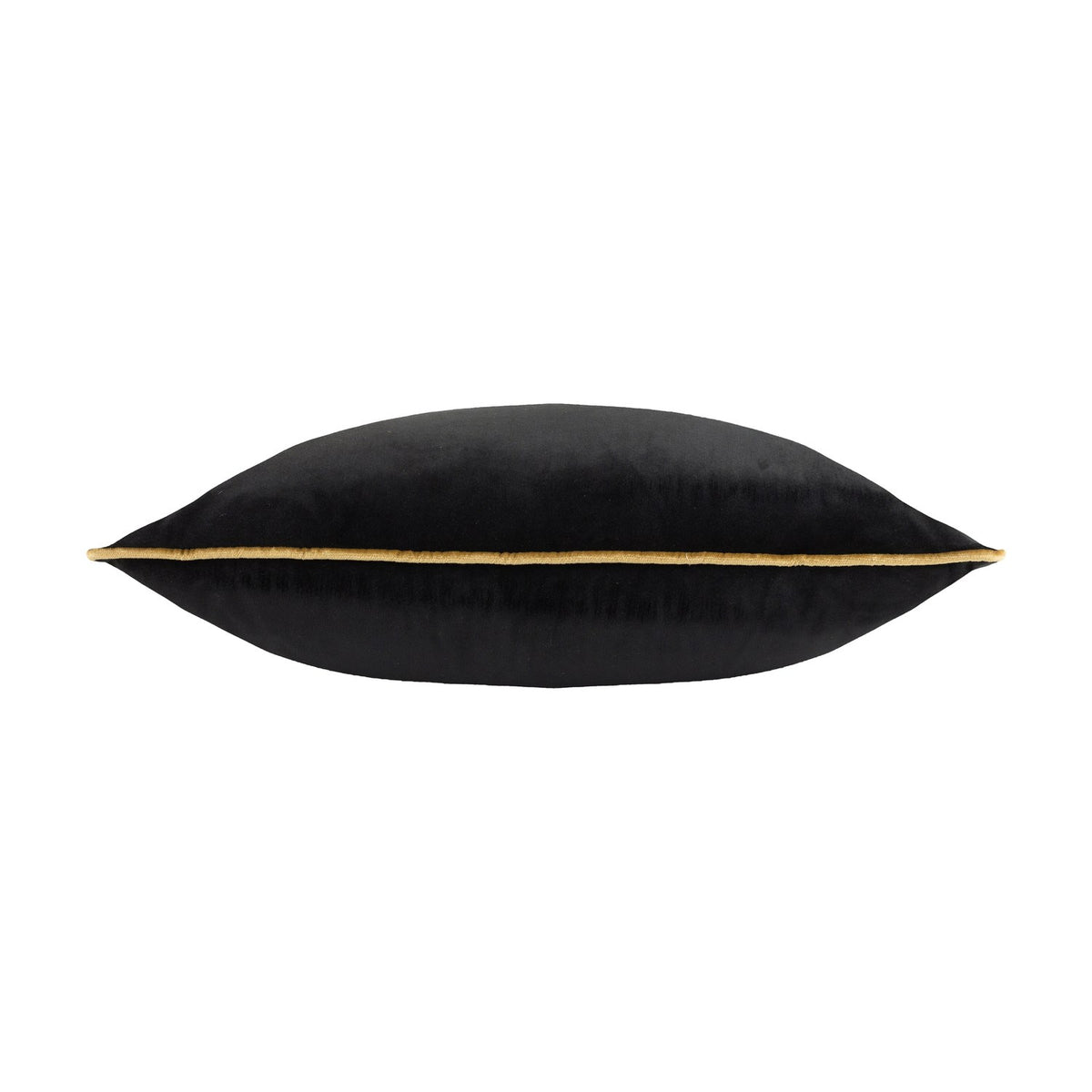 Meridian Plain Velvet Cushion in black, shown side-on to reveal its plump shape and gold piping trim along the seam, set against a plain white background.