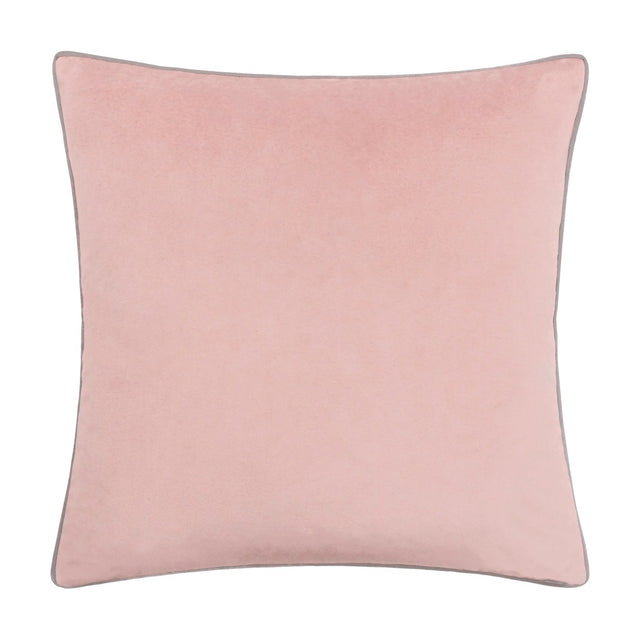 Meridian Plain Velvet Cushion in blush pink with a contrasting light grey piped edge, square shape, plain velvet-feel front, shown on a white background.