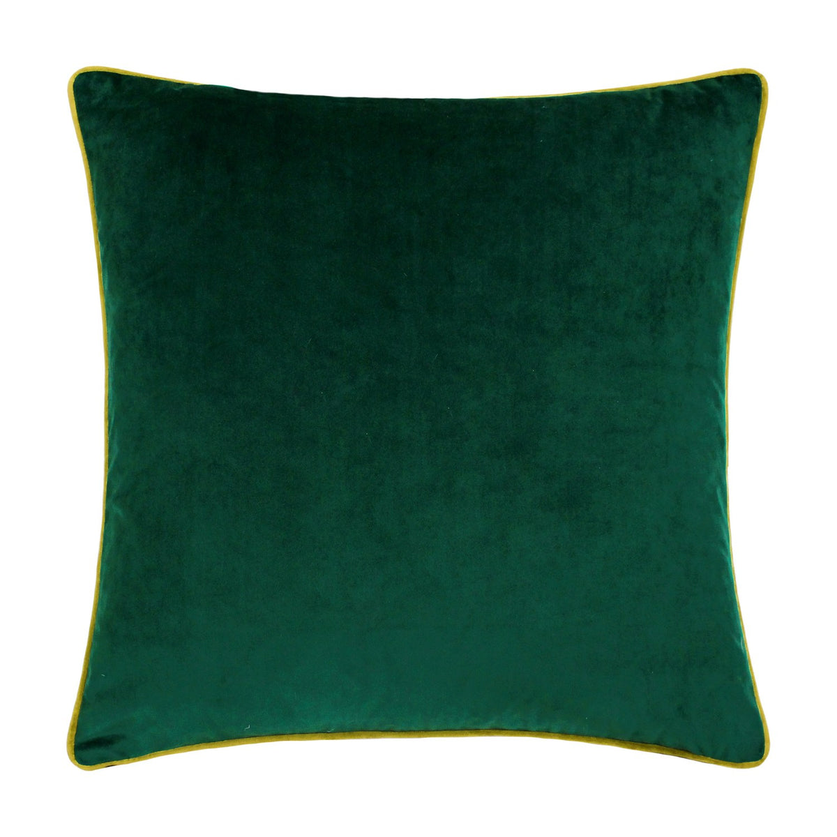 Meridian Plain Velvet Cushion in emerald green, a square 55 x 55cm velvet-feel cushion with a contrasting moss green piped edge, shown on a plain white background.