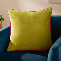 Velvet Cushions