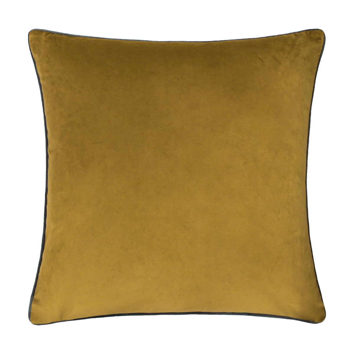 Meridian Plain Velvet Cushion in moss green with charcoal grey piped edging, square velvet-feel fabric, shown on a plain white background.