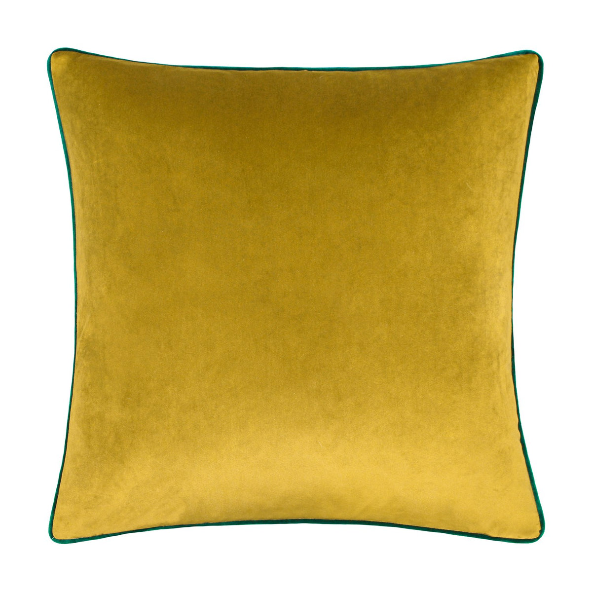 Meridian Plain Velvet Cushion in moss green velvet with a contrasting emerald green piped border, shown on a plain white background.
