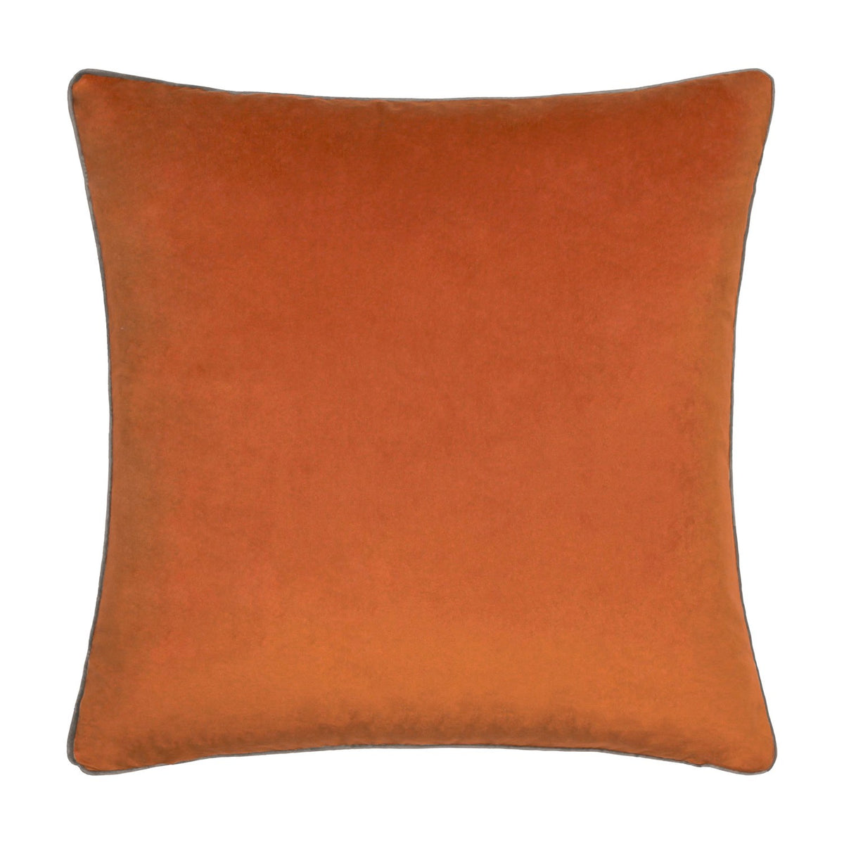 Meridian Plain Velvet Cushion in pumpkin orange with a contrasting mocha brown piped border, square velvet-feel design shown on a plain white background.