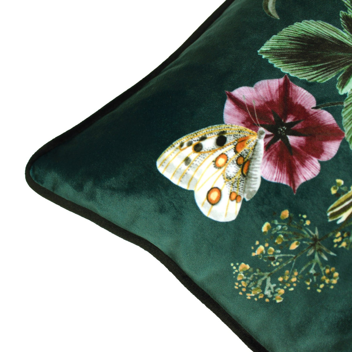 Close-up of the Midnight Garden Animal Velvet Cushion in green, showing velvet fabric with a butterfly, pink flower and piped edge detail.