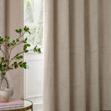Neptune Velvet Fully Lined Eyelet Curtains in champagne, shown draped in soft folds with a subtle dot-textured pile, styled beside a bright window in a living room setting.