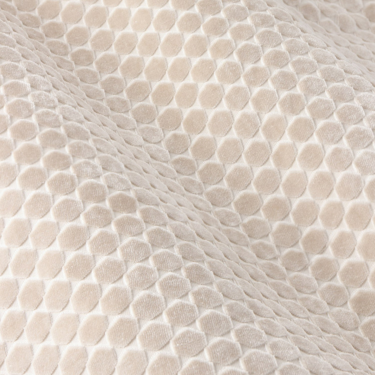 Close-up of Neptune Velvet Eyelet Curtains fabric in champagne, showing a cut-velvet honeycomb dot pattern with subtle light-catching texture.