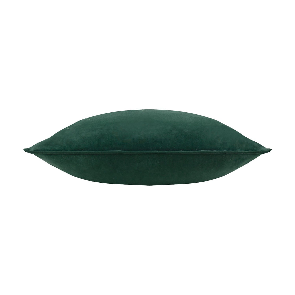 Odisha Exotic Bird Animal Velvet Cushion in emerald green shown side-on, revealing plump square shape and plain piped edge against a white background.