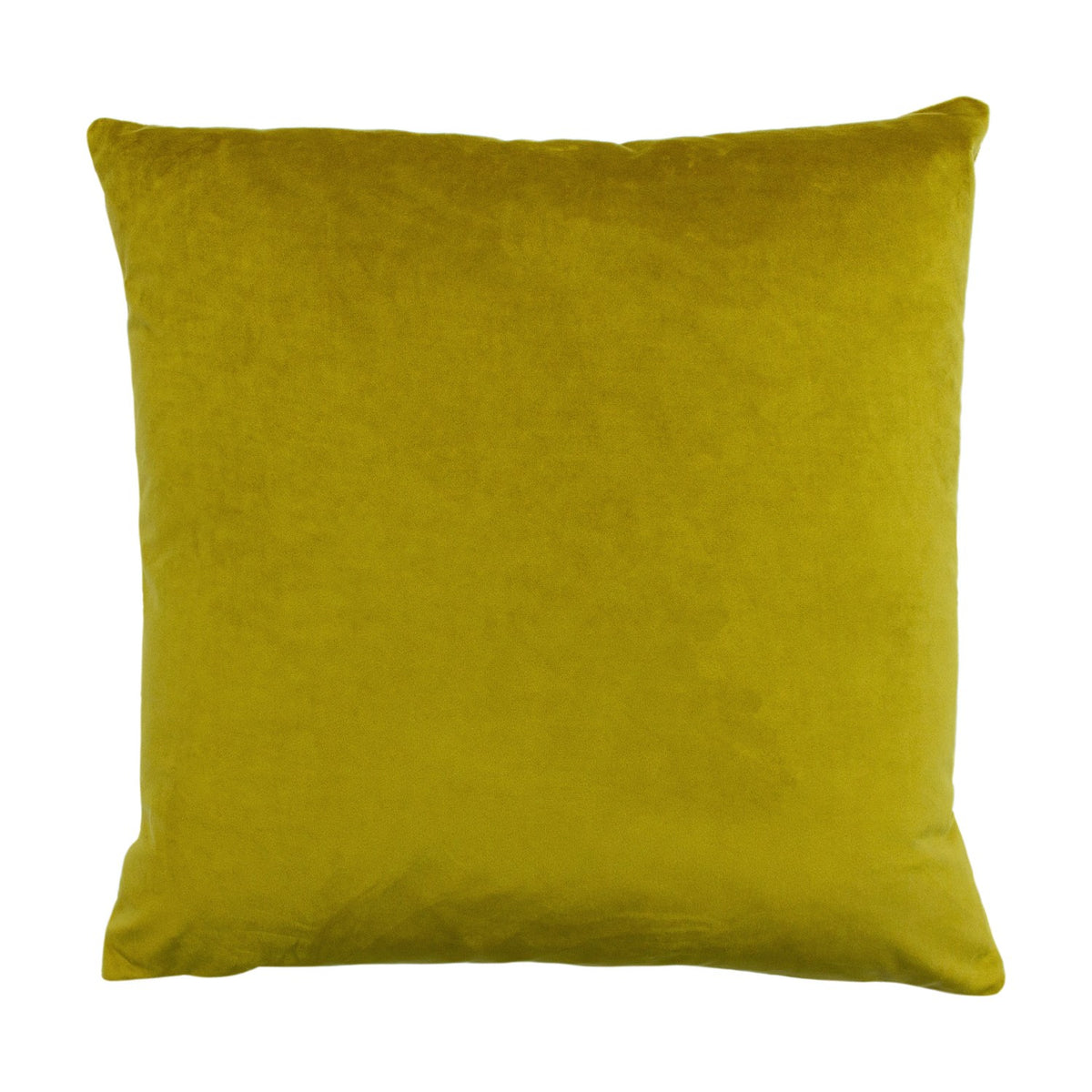 Palm Grove Jacquard Velvet Cushion in solid gold velvet, plain square shape with piped edge, shown on a white background.