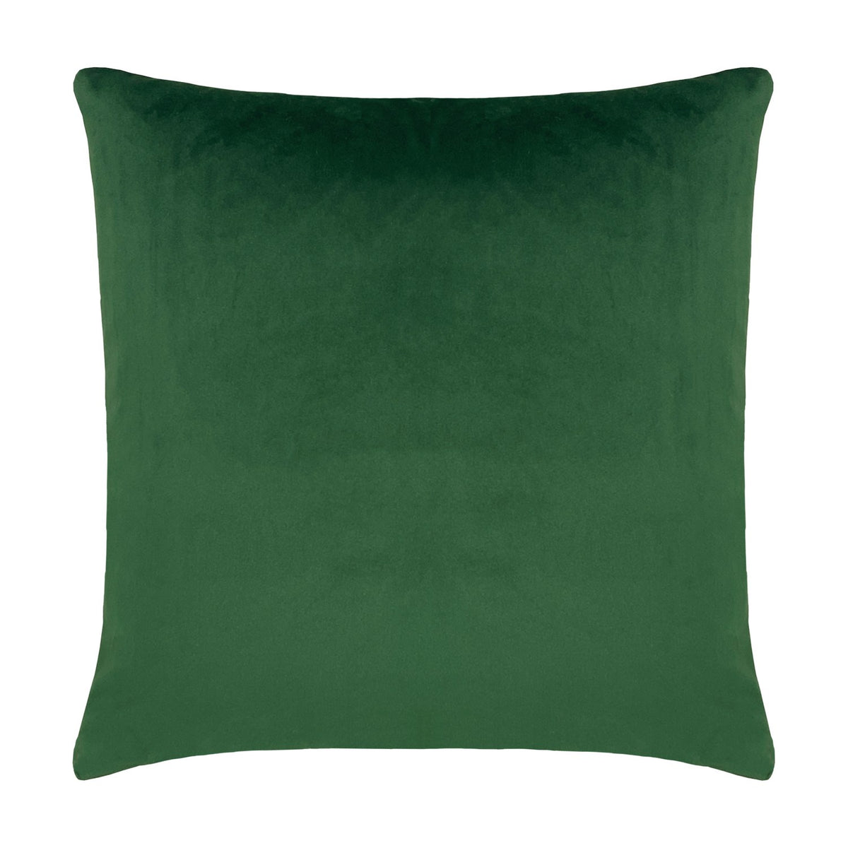 Platalea Botanical Velvet Cushion in Pink shown reverse side, plain green velvet fabric, square 43 x 43cm shape, photographed on a white background.
