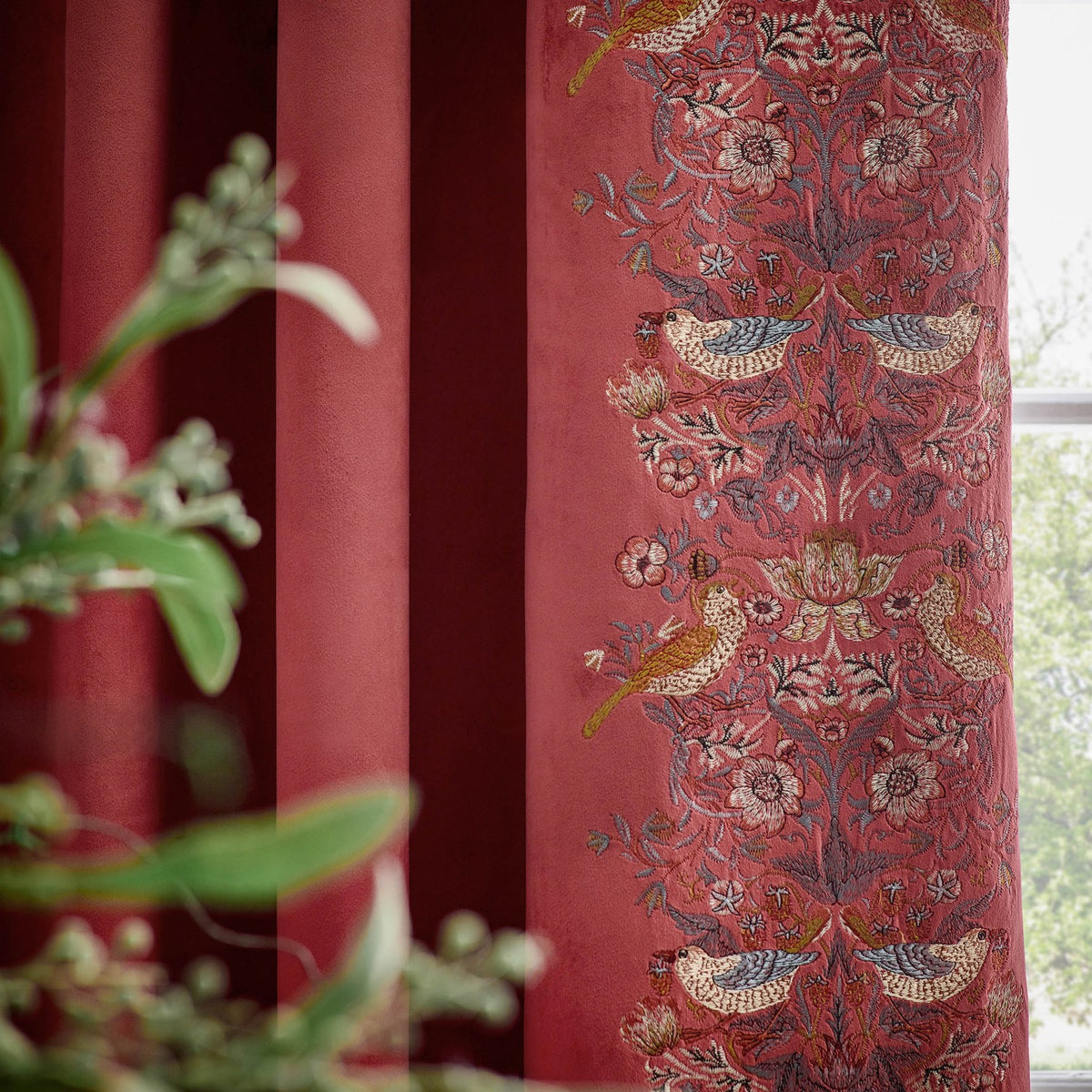 Berry red velvet pencil pleat curtain shown pleated near a window, with an embroidered Strawberry Thief leading edge featuring birds, strawberries and foliage.
