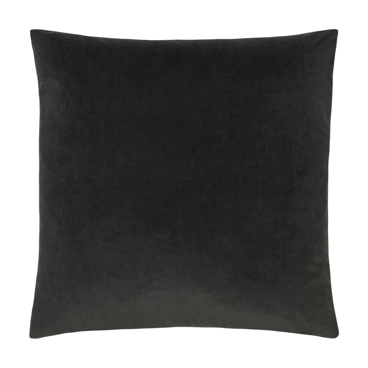 Sunningdale Plain Velvet Cushion in charcoal, a square 50 x 50cm design with a soft sheen finish, shown on a plain white background.