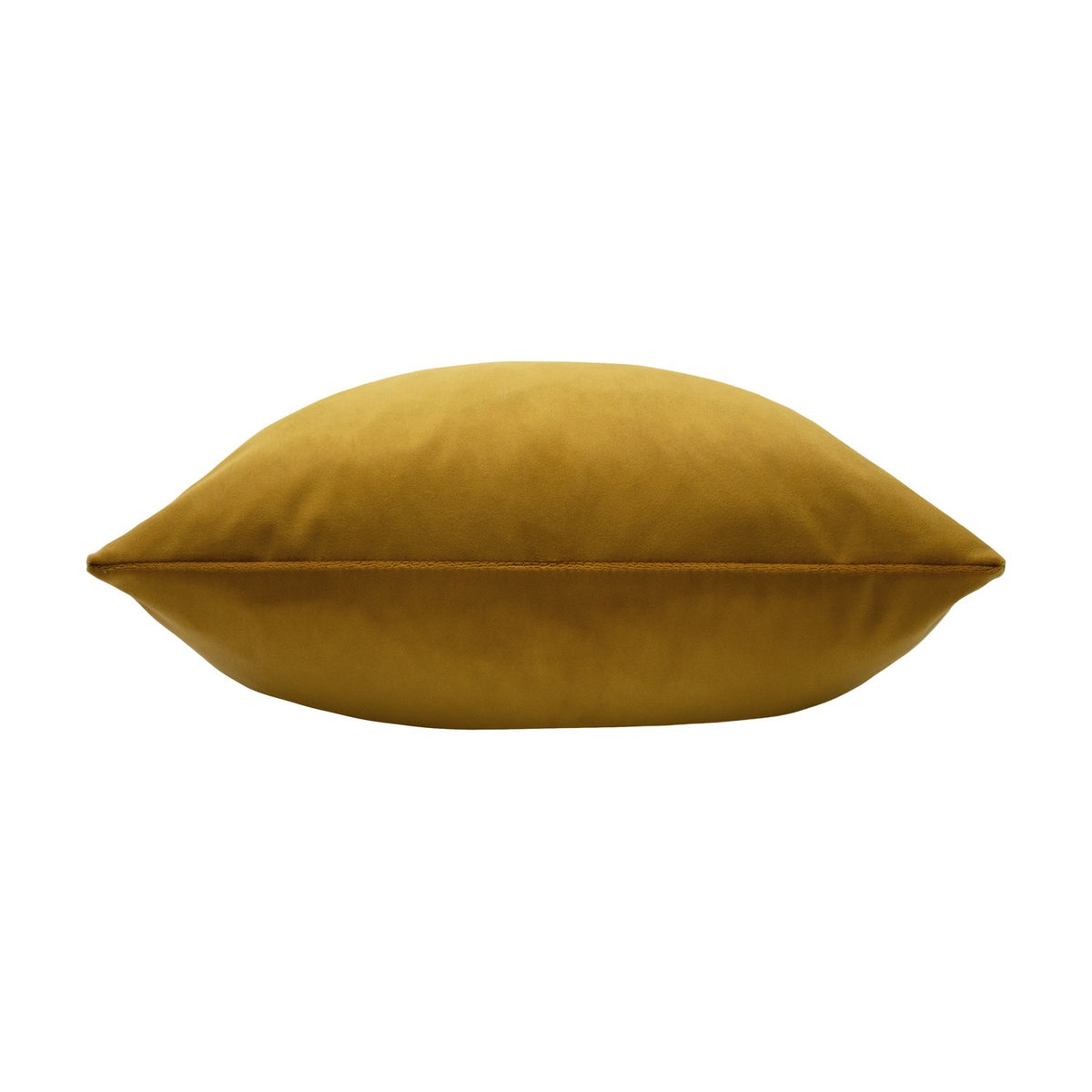 Sunningdale Plain Velvet Cushion in saffron gold, a square 50x50cm polyester velvet cushion shown side-on against a plain white background.