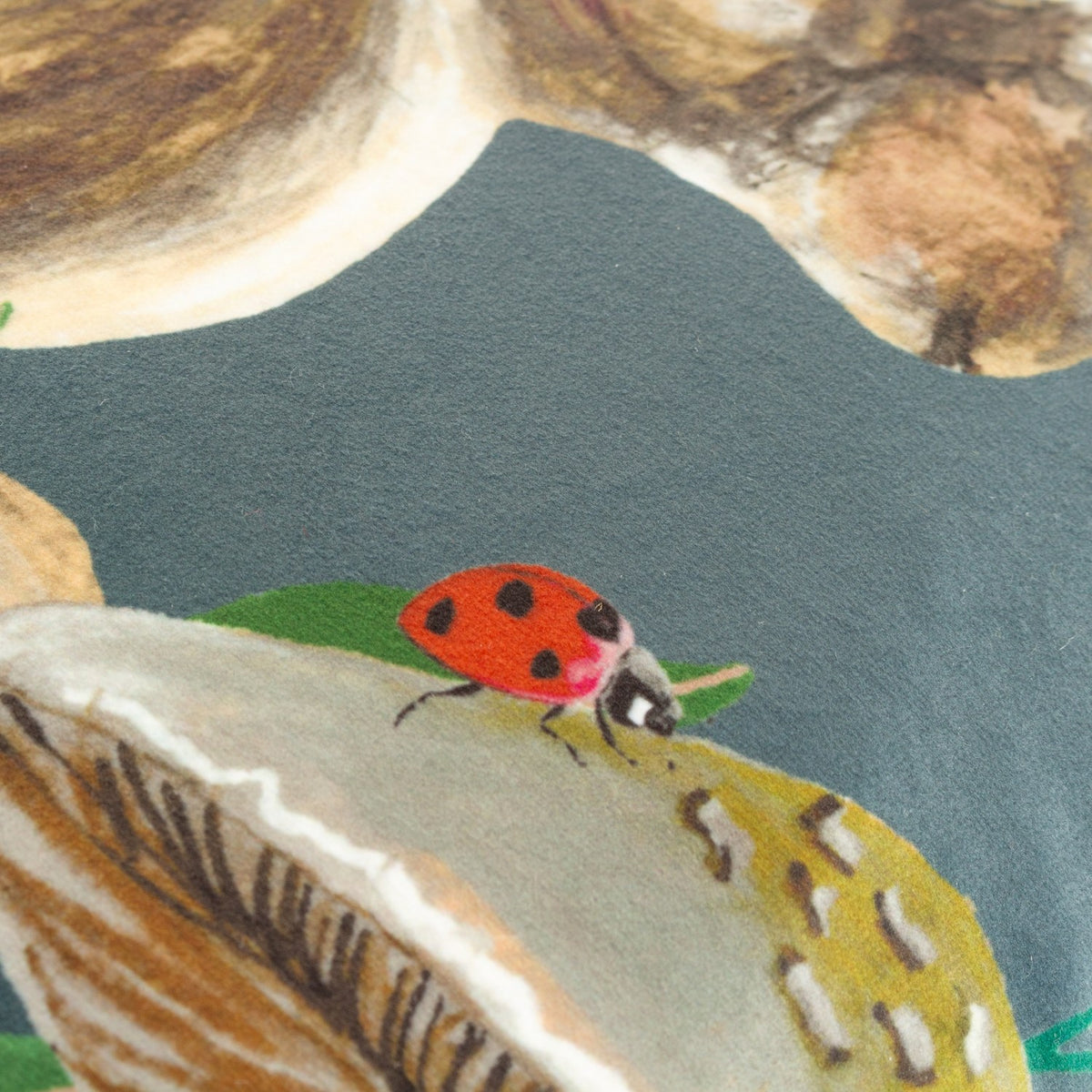 Close-up of the Wild Garden Animal Velvet Cushion showing a ladybird on a toadstool cap against a grey-blue velvet ground with hare and foliage details.