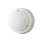 Ruby 1 Light Flush Round Opal Glass Ceiling Light - Satin Nickel