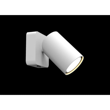 Sal 1 Light Single Spotlight With Switch - Matt White
