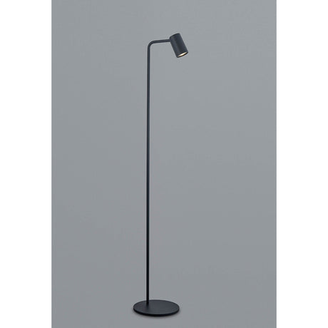 The Sal 1 Light Floor Lamp in matt black features a slim, minimalist design with a cylindrical shade and round base, providing adjustable lighting. Its sleek style stands out against a plain grey background.
