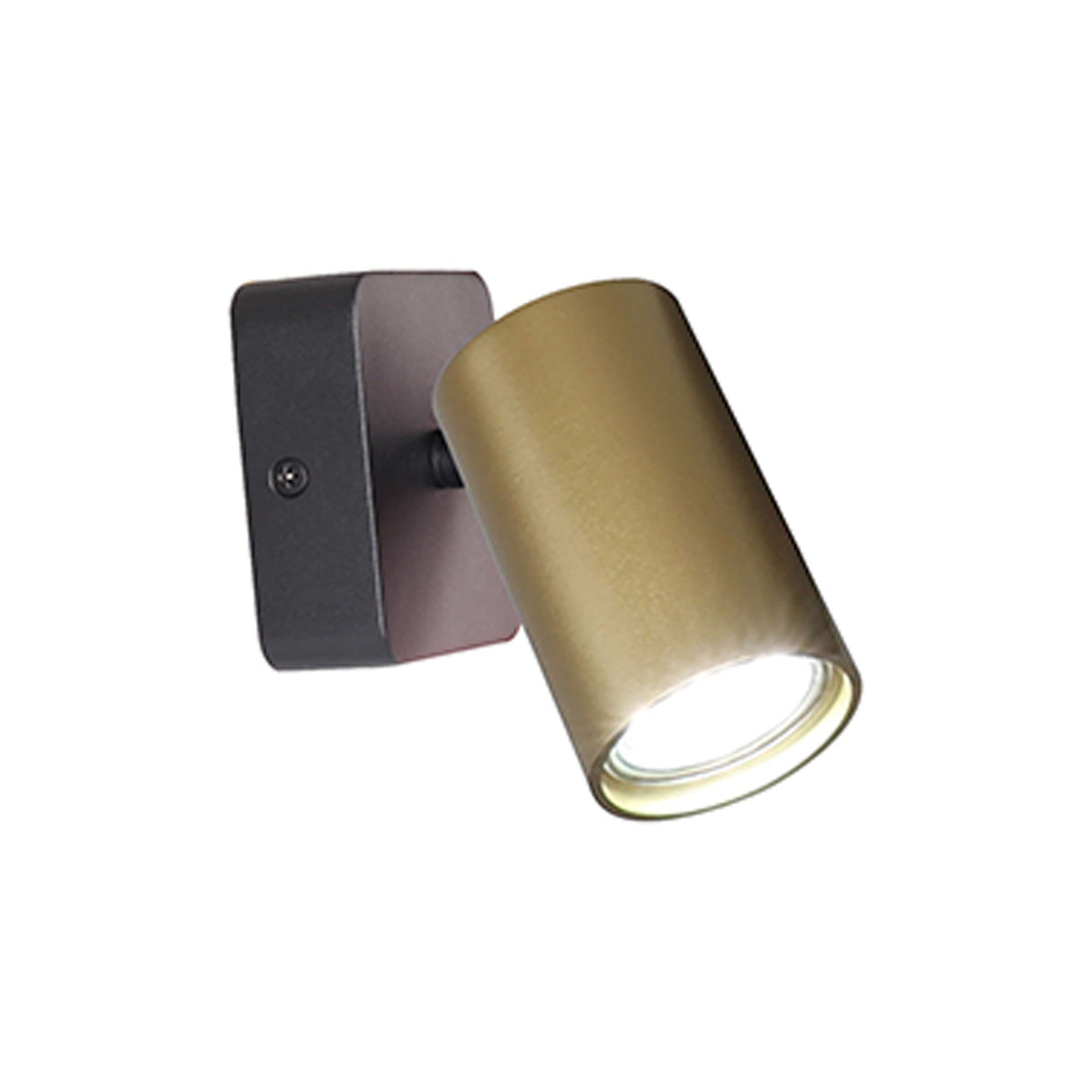 Sal 1 Light Single Spotlight - Satin Gold & Matt Black