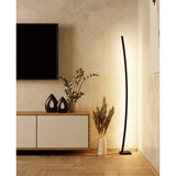 Salbora LED Floor Lamp - Black