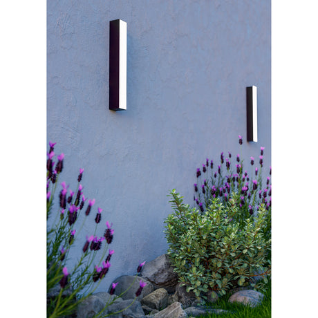Salitta LED Downlight 38cm in black aluminium, shown mounted vertically on an exterior wall beside lavender and greenery, with its white linear diffuser illuminated.