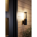 Salle Outdoor Wall Light - Black & Smoked