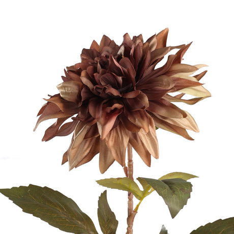Semporna artificial dahlia with a single layered brown bloom fading to tan tips, pale tan stem, and green toothed leaves on a plain white background.
